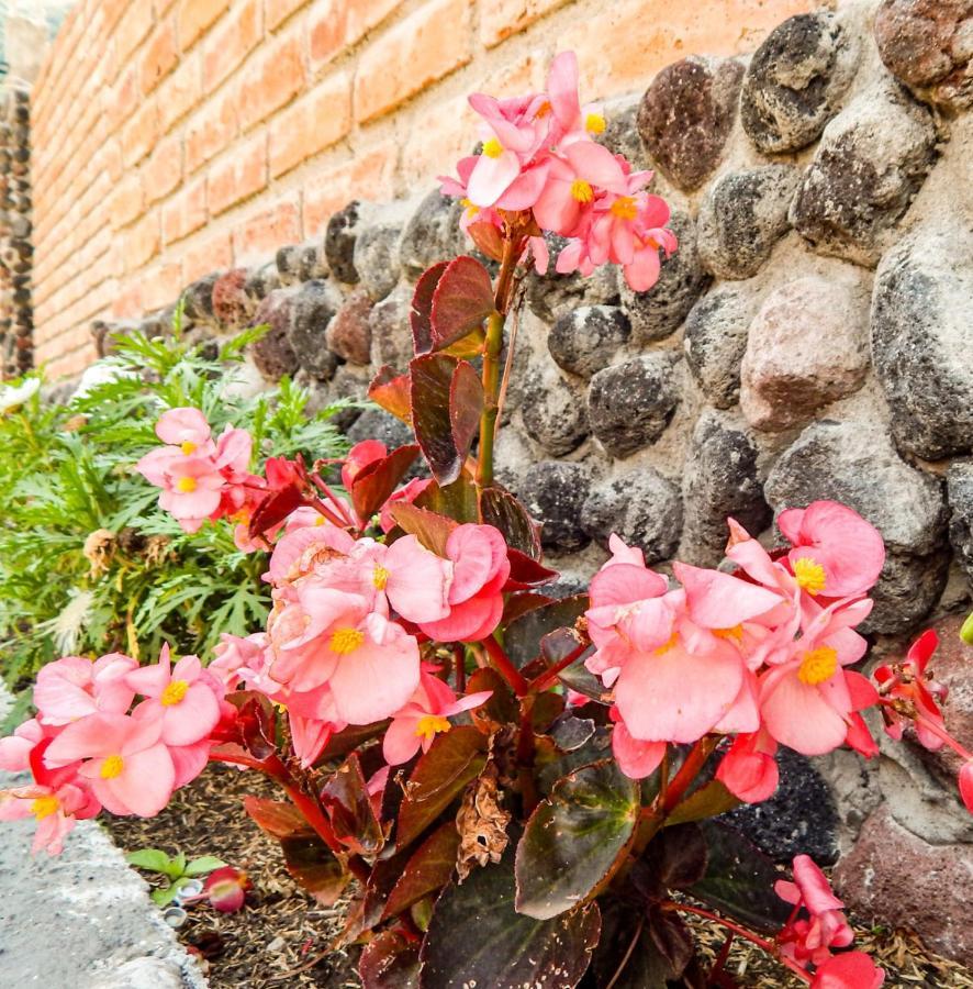 Pampa Garden Hotel Quillullaco Eksteriør billede
